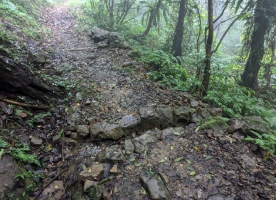 馬那邦山步道-現地塊石設置步道橫向導水(林業保育署新竹分署提供).jpg
