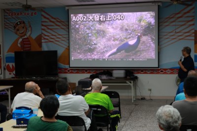 野生動物監測成果