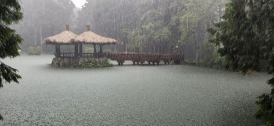 受低壓豪大雨影響，林業保育署嘉義分署原訂8月2日的2025阿里山森遊季「夏，星空電影院」活動延期舉辦