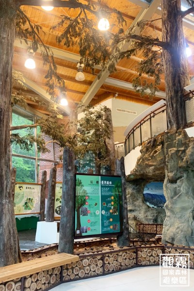 來到一樓生態展覽區，一起穿越時空，發現那些從冰河時期留下來的珍貴寶貝！（森之形自然教育團隊提供；劉謹毓攝）