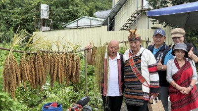 桃山部落夥伴撿拾林地剩餘資材發揮創意製作成晾曬小米及苧麻的架子