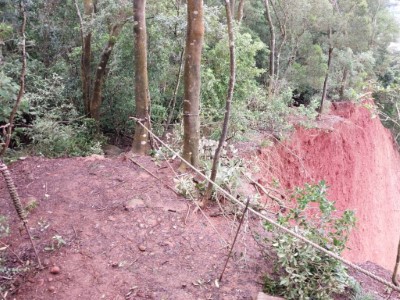 火炎山山徑1.8K處(林業保育署新竹分署提供)