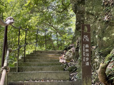內洞國家森林遊樂區(林業保育署新竹分署提供)