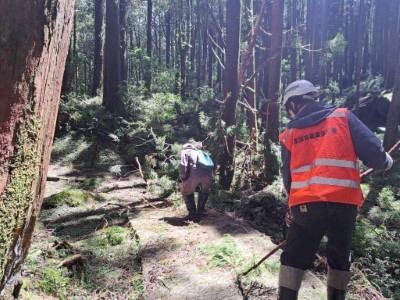 在積極整理下，阿里山國家森林遊樂區遊客主要動線目前已可通行