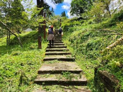 阿里山國家森林遊樂區經林業保育署嘉義分署動員人力積極整理，預計15日上午8時恢復開園
