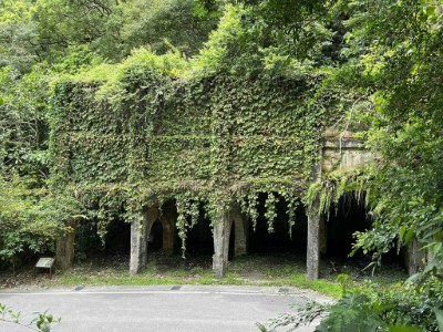 佐倉步道原為台泥舊礦區