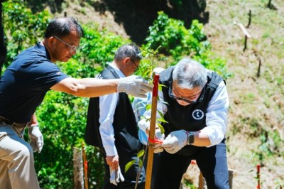 嘉義分署分享根基營造公司透過媒合平台，與嘉義分署展開為期20年的合作，親手種下臺灣爺蟬主要寄主植物臺灣梭羅木，營造臺灣爺蟬棲地（根基營造提供）