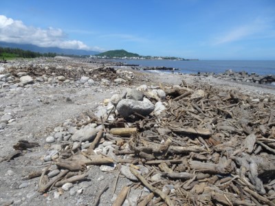 富岡海堡海岸
