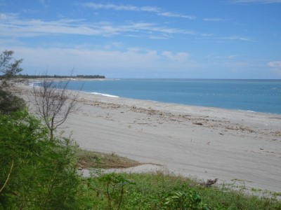 華源海岸