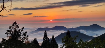 活動期間也有機會觀賞國際知名的阿里山雲海