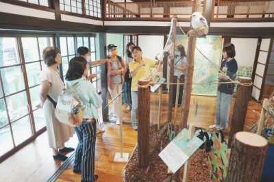 綠保15特展-介紹展覽內容