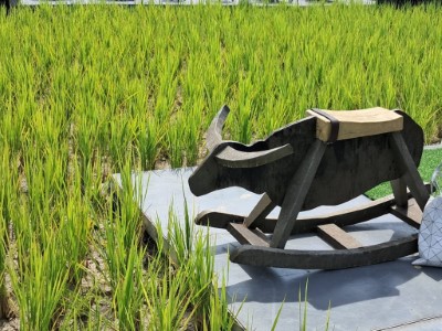 大地地景藝術2