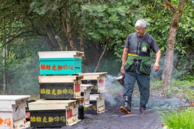 阿里山原住民農林業生產合作社汪志敏主席經營林下養蜂，將與民眾分享充滿森林清甜與香氣森林蜂產品