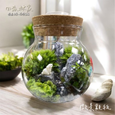 圖6.2025回森林家_微景觀瓶手作DIY(林業保育署新竹分署提供)