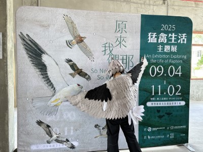 熱愛黑翅鳶的熱心民眾攜帶自製的服飾來現場合影紀念