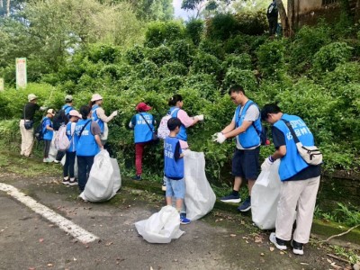 矽品精密大小志工認真拔除小花蔓澤蘭
