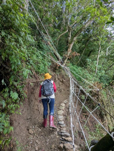 北大武登山步道修復情形