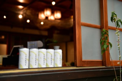 土肉桂氣泡水現正在營林所臺中出張所宿泊所販售中