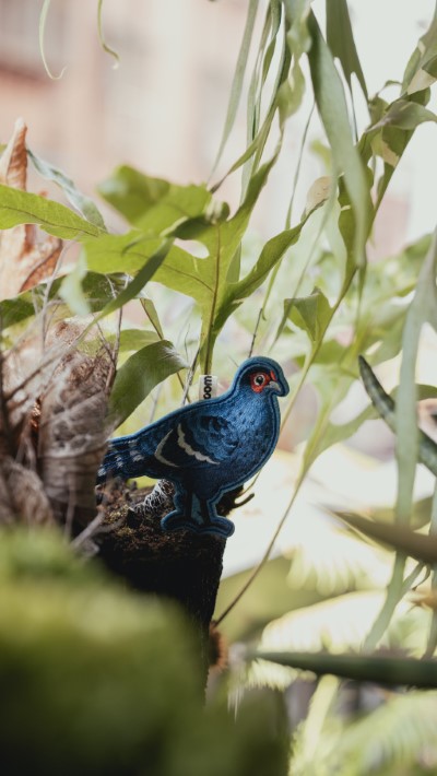 林業保育署臺中分署與comoor聯名推出的「可愛特有種鳥類刺繡吊牌」(圖為黑長尾雉)