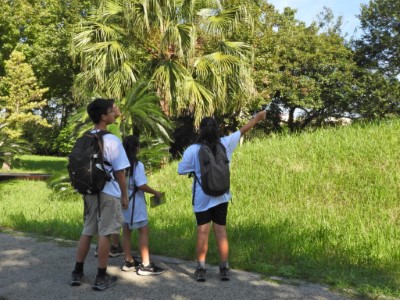 參賽的小朋友專注尋找鳥蹤