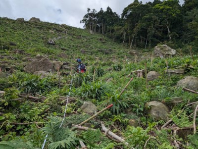 圖六、設定樣區-造林地苗木存活率調查(林業保育署新竹分署提供)