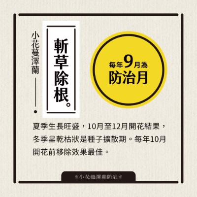 1、小花蔓澤蘭防治月