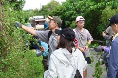 民眾合力移除小花蔓澤蘭