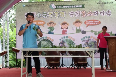 解說如何辨識小花蔓澤蘭及其他藤蔓