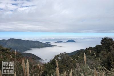 05_冬日的雲海細緻綿密，層層起伏，宛如緩慢流動的白色海洋，令人心曠神怡。（‎2025‎年‎1‎月‎3‎日，森之形自然教育團隊提供；林雋雅攝）