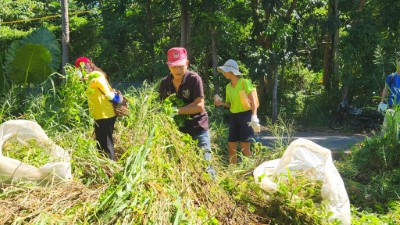 炎熱的天氣不減大家保護山林的熱情，一同盡心盡力剷除小花蔓澤蘭。
