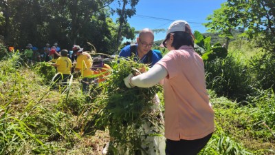 炎熱的天氣不減大家保護山林的熱情，一同盡心盡力剷除小花蔓澤蘭。