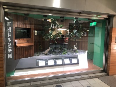 紅樹林生態教育館環境教育介紹櫥窗