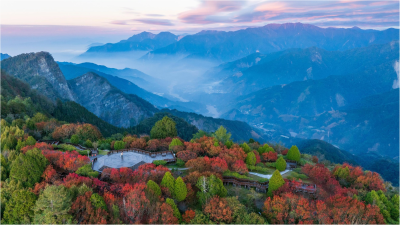 小笠原山楓紅美不勝收