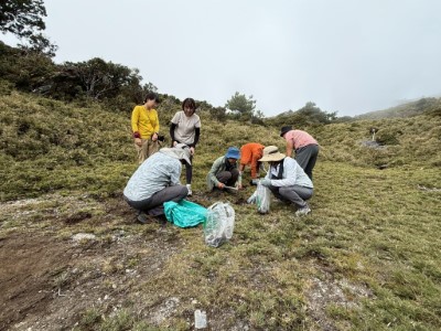 孩子們從步道周邊尋找枯枝落葉，覆蓋於向陽名樹裸露的根