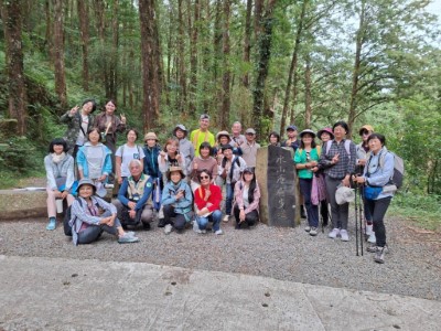 在水山療癒步道漫步於松蘿之間