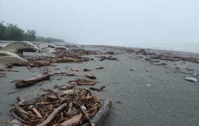 太麻里溪出海口