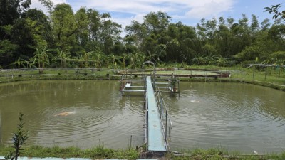 走訪埤塘人家，探所在地人的生存智慧