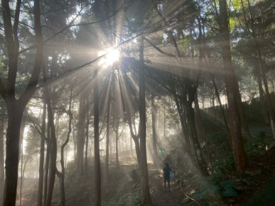 八仙山國家森林遊樂區景色(照片：林業及自然保育署臺中分署)