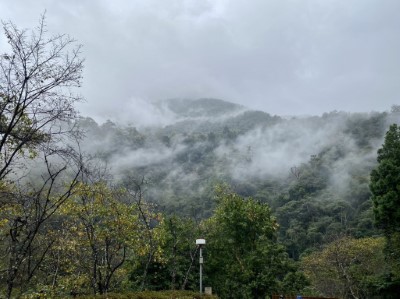 秋季的八仙山(照片：林業及自然保育署臺中分署)