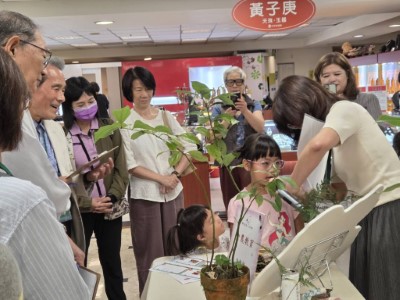 潭子國小附設幼兒園是全場最小的參賽者，不怯場地向大家介紹土肉桂甜甜聖誕花圈製作方式
