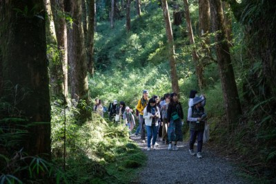 林業及自然保育署嘉義分署在阿里山國家森林遊樂區舉辦「2025阿里山森旅季」冬季限定活動—蕨類微觀之旅