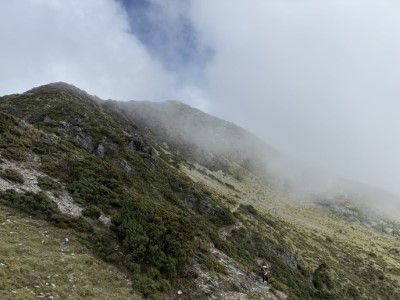 臺東分署轄管森林育樂場域、林道自10日下午17時起封閉照片
