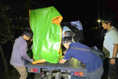 黑熊連夜後送池上野灣野生動物醫院。