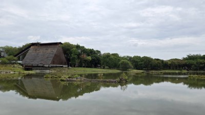 東勢林業文化園區-1