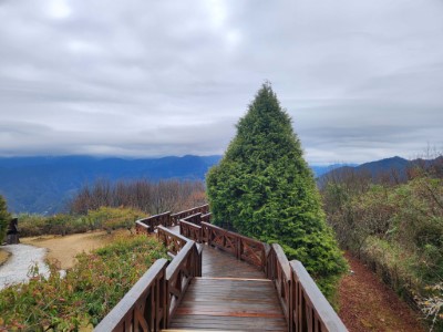 颱風過境山區仍有大雨之可能，林業保育署嘉義分署呼籲民眾隨時注意天氣及路況最新資訊