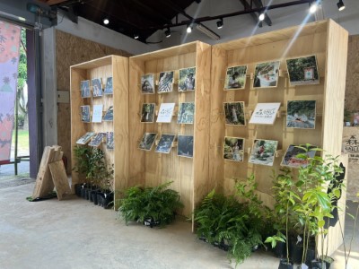 本年度森chill活動成果展示牆(照片：林業及自然保育署臺中分署)