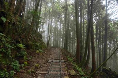 特富野古道為山海圳國家綠道代表路段之一，獨特的山林美景與林業鐵道特色體現高山生態與文化傳承