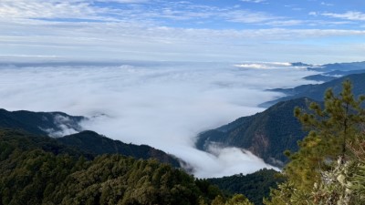 大雪山國家森林遊樂區雲海（照片：康明遠提供）