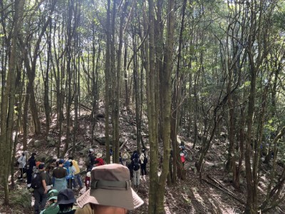 大雪山森林浴步道頌缽體驗（照片：林業保育署臺中分署）