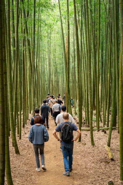 圖五、參訪雲林草嶺石壁森林療癒園區，進行森林療癒。